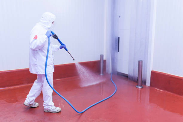 Best Building Exterior Washing  in Rittman, OH